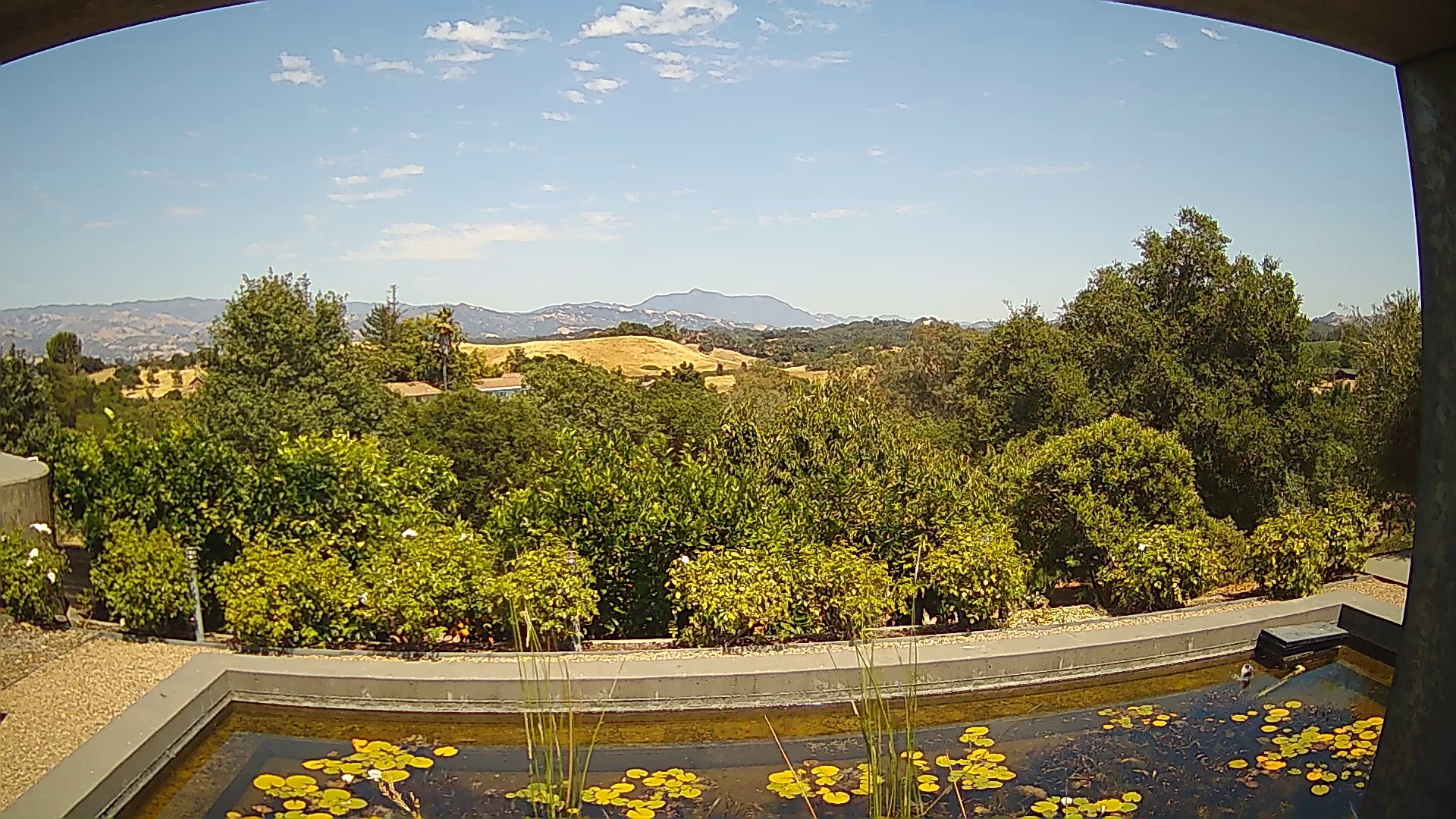 Current weather conditions in Healdsburg
